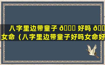 八字里边带童子 💐 好吗 🕊 女命（八字里边带童子好吗女命好不好）